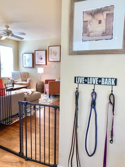 The Comforts' Inn: Mountain Escape Mountainaire Exterior foto